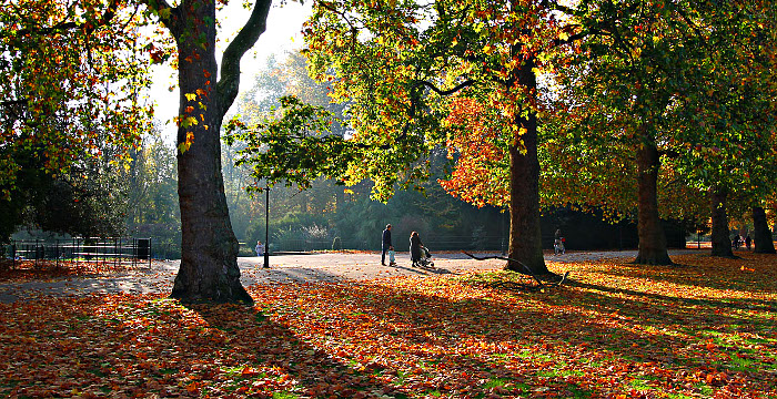 Stanze a Battersea Park Londra