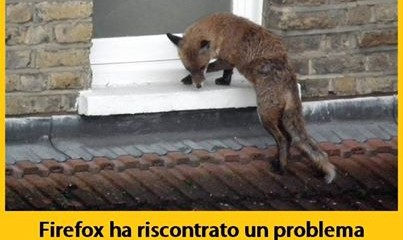 Firefox e Windows